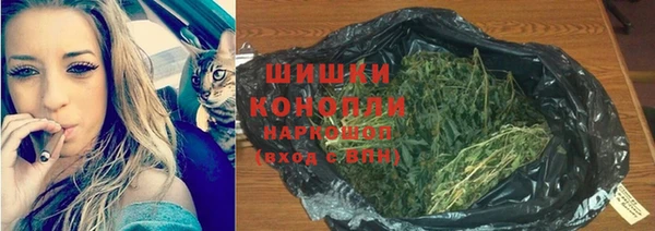 шишки Армянск