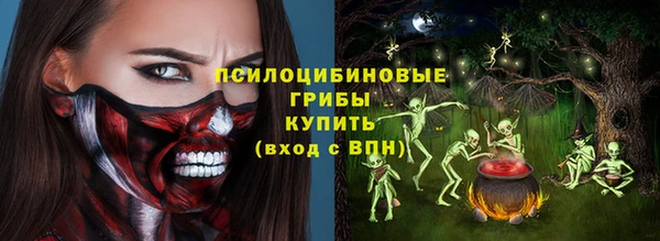 гашик Осташков