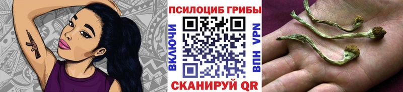 Галлюциногенные грибы мицелий  Бирюсинск 